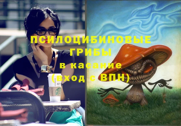тгк Нязепетровск
